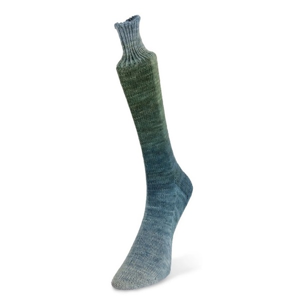 Laines du Nord Watercolor Sock 101