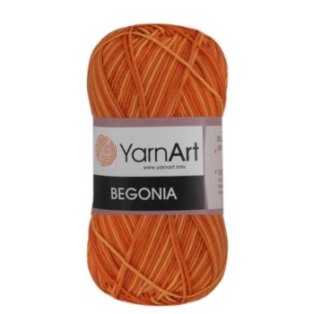 Begonia